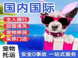 长乐机场快递国际宠物托运 【国
